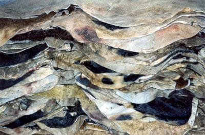 Marche: acquista 8 mila euro di pelli, ma è una truffa