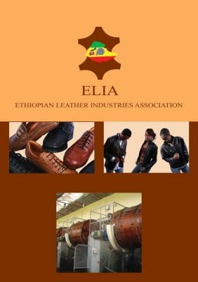 Etiopia, area pelle in cifre