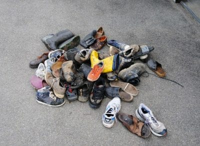 Furto con destrezza, volpe ruba 42 scarpe