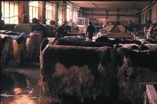 Pelli grezze Usa, inizia la discesa