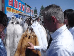 Nell'Hebei affari d'oro per le pelli di cane procione