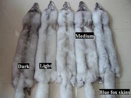 Cina, vola il prezzo delle pelli per pellicceria
