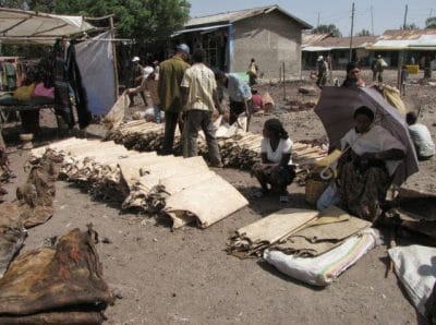 Etiopia, crescita modesta per l’area pelle