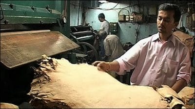 India: “troppe pelli verso Cina e Italia”