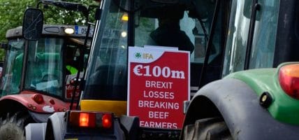 In Irlanda gli allevatori sono furosi con il govenro e con l'Unione Europea