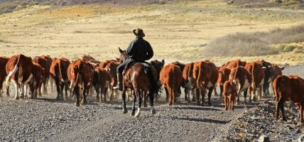 L'accordo UE Mercosur cambia le dinamiche del grezzo