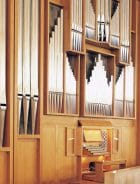 La storia di Pinchi e della pelle usata negli organi da chiesa