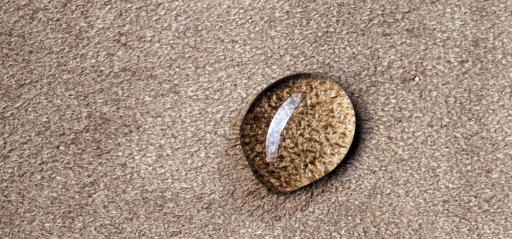 UNIC e Cotance vincono a Bruxelles sui limiti dei PFOS