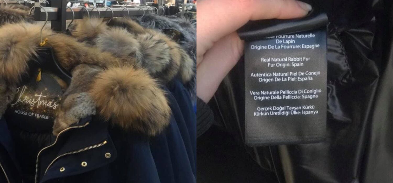 Cortocircuiti no fur: House of Fraser s’era dimenticata di esserlo