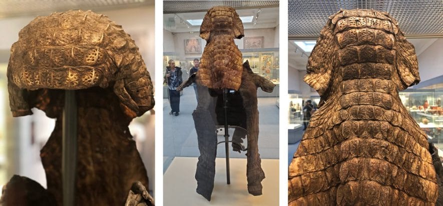 L’abito in coccodrillo più bello della storia ha 2.200 anni
