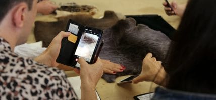 Canada, la pelliccia in crisi vede la luce in fondo al tunnel