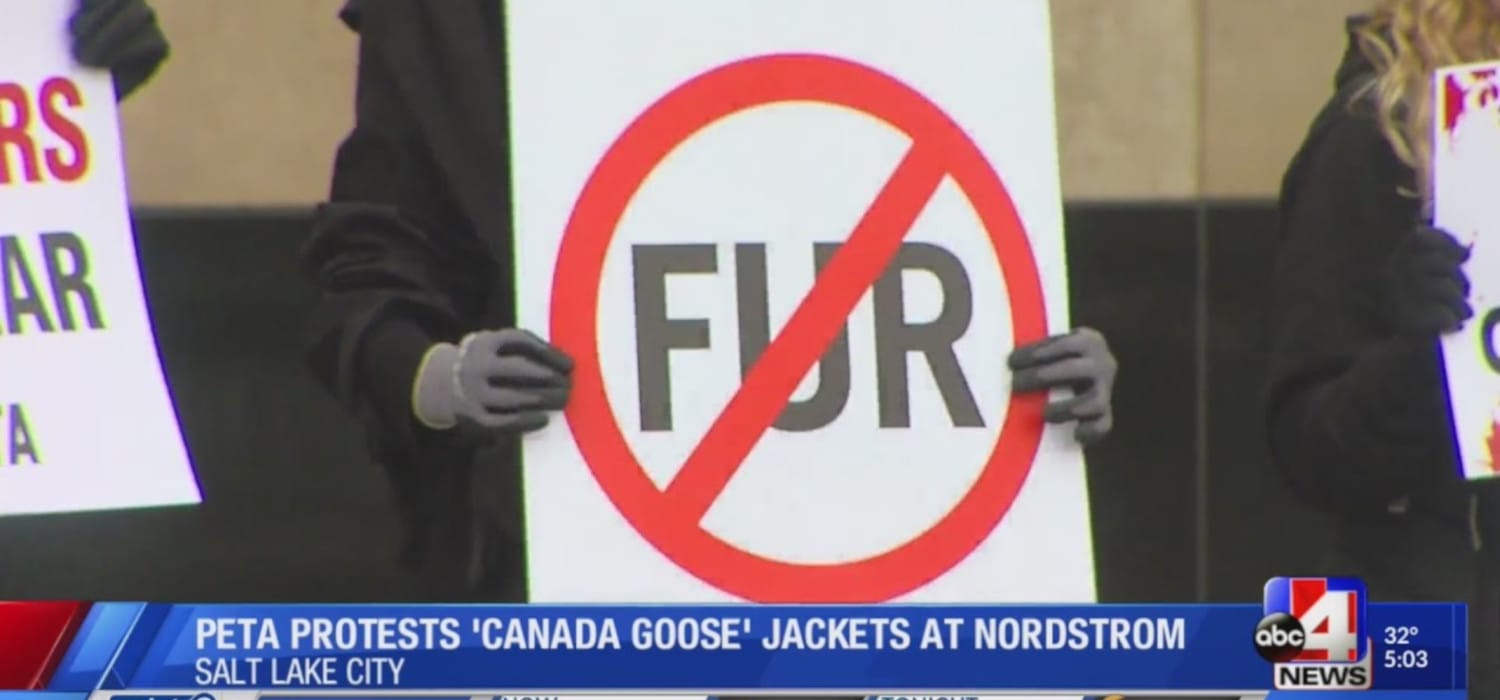 PETA si scatena su Etsy e Nordstrom, che (per ora) resistono