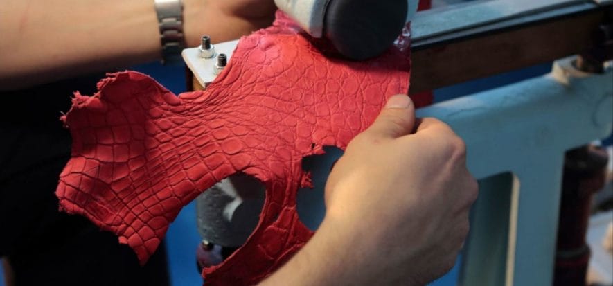 Il 100% di Zuma e Casadacqua a Xenon: due concerie a un fondo