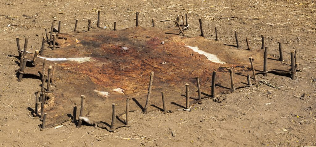 Etiopia, via il dazio al 150% sulle pelli wet blue e piclate