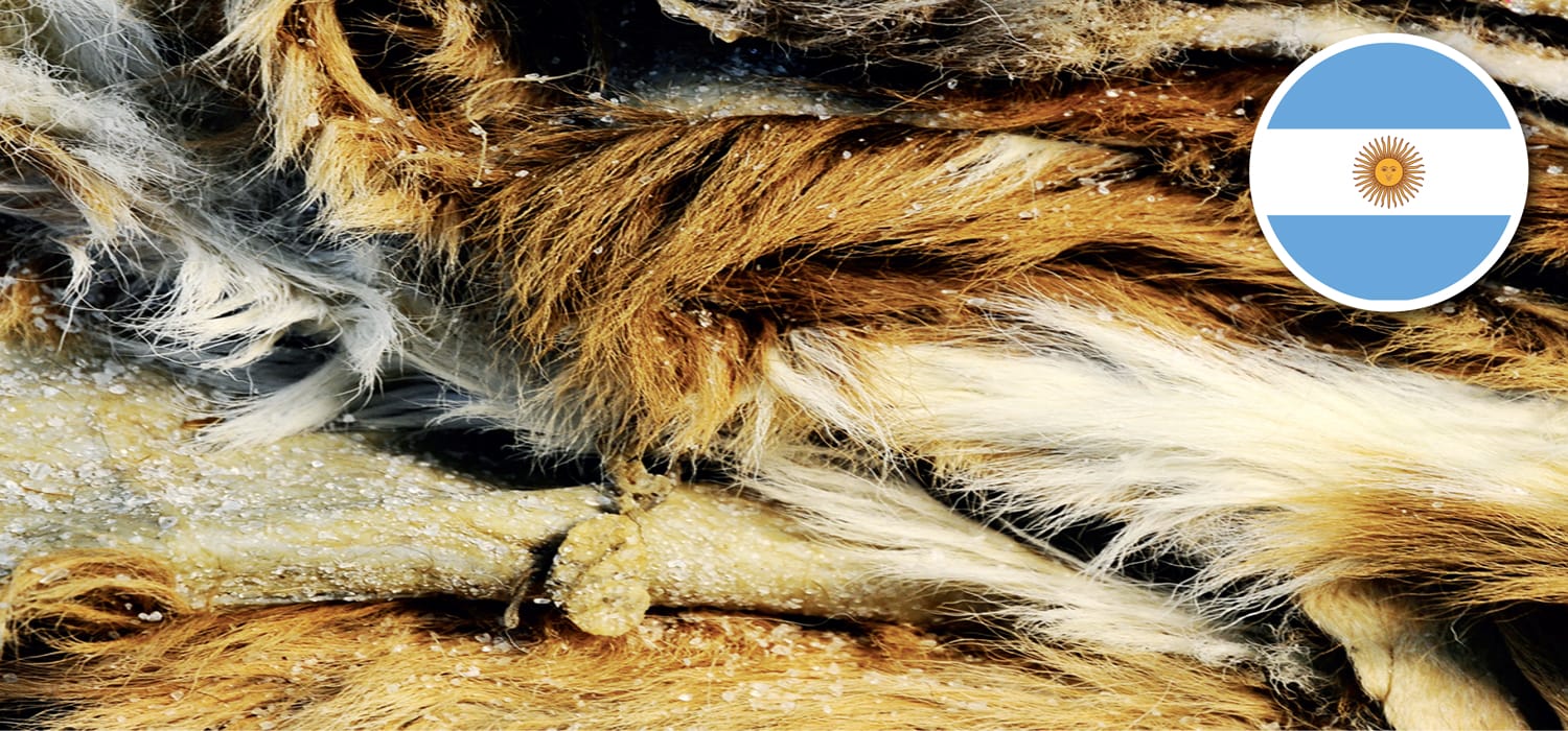 Argentina, mentre la pelle spera nel Governo, le concerie licenziano