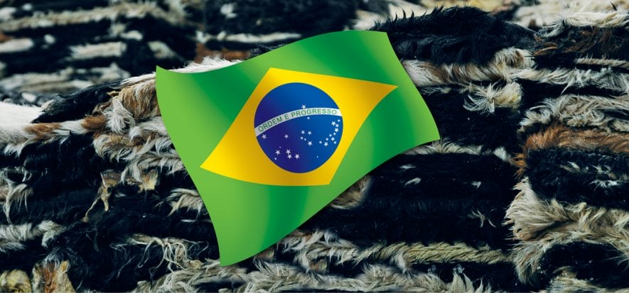 La pelle brasiliana scivola nel trimestre: export giù del 15,5%