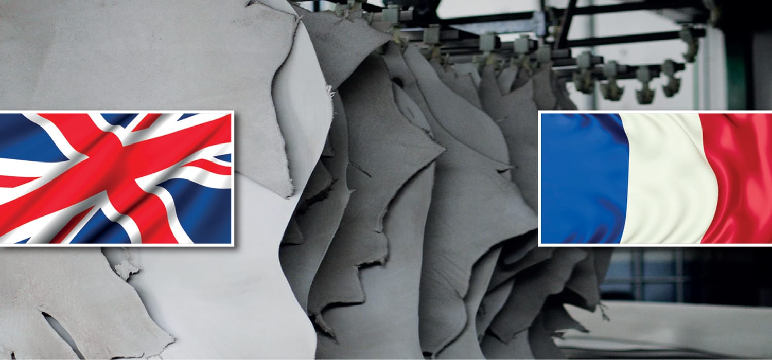 Già il 2019 per la pelle di UK e Francia non è stato un granché