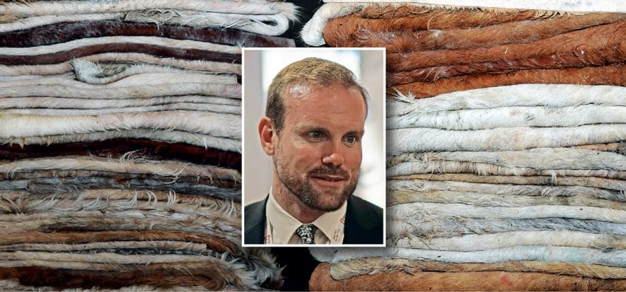 USA, le pelli in discarica per CRV mostrano il valore della concia