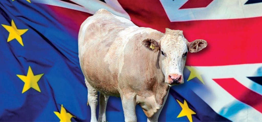 UK, meat and leather say that Brexit doesn't look so bad (for now)