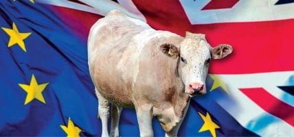 UK, carne e pelle (per ora) dicono che Brexit non sembra così male
