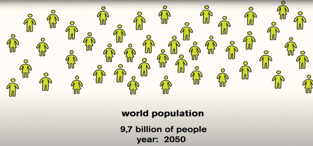 Leather and life expectancy: a video by Dani highlights the connection