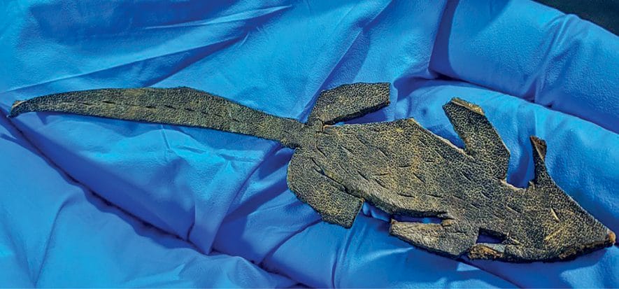 Trick or toy? This leather mouse is “only” 2,000 years old