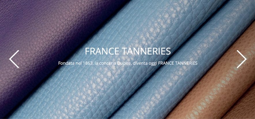 While waiting for bankruptcy proceedings, France Tanneries shut down