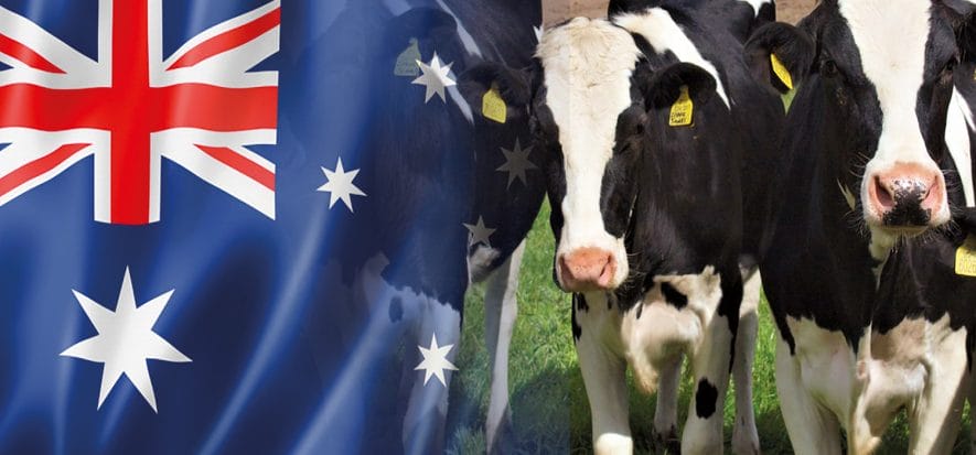 10 milioni di dollari: l'australiana Western Meat Packers investe