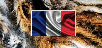 Francia, magazzini pieni di pelli grezze bloccate dal lockdown