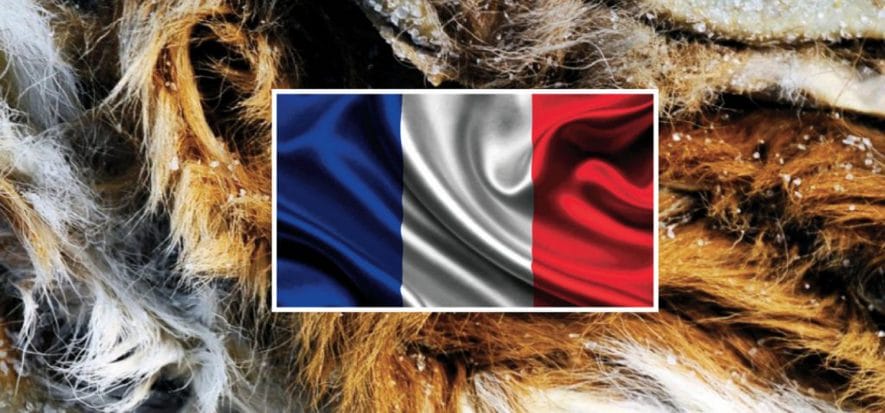 Francia, i magazzini stipati di pelli grezze ora sono un problema