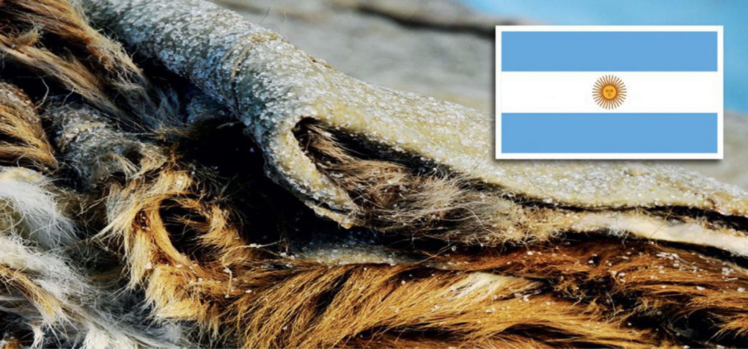 Argentina, CRV mette in crisi la pelle e 40 anni di protezionismo