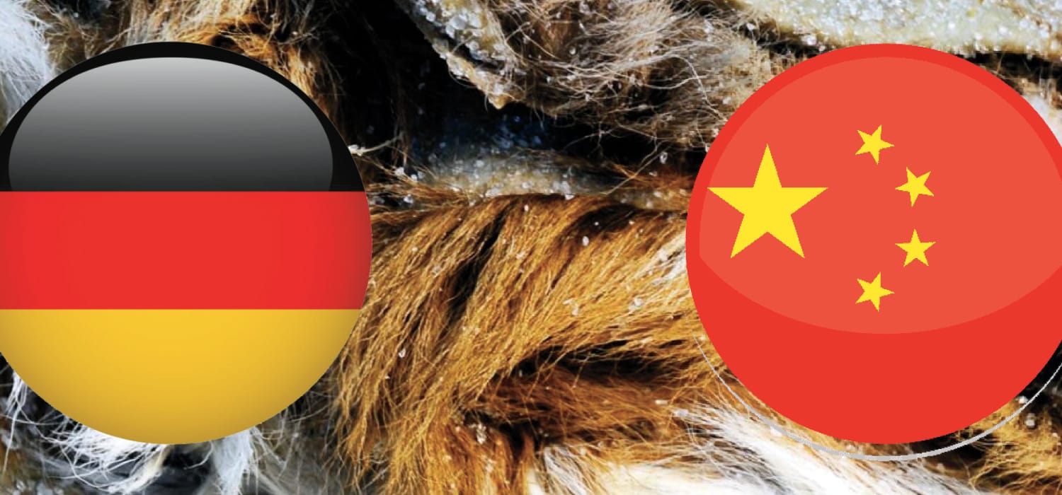 Chinese customs block imported salted leather from Germany