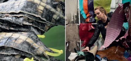 The controversy about Hermès and the replies on crocodile truth