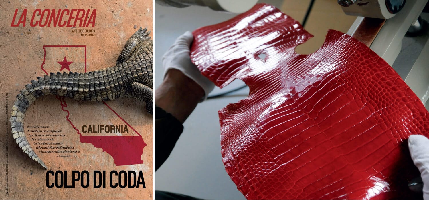 Alle polemiche su Hermès rispondono le verità del coccodrillo