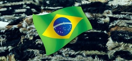 Brazil, the leather segment sees the light: export increases in November