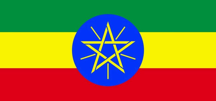 Etiopia, le concerie chiudono per la carenza di valuta estera