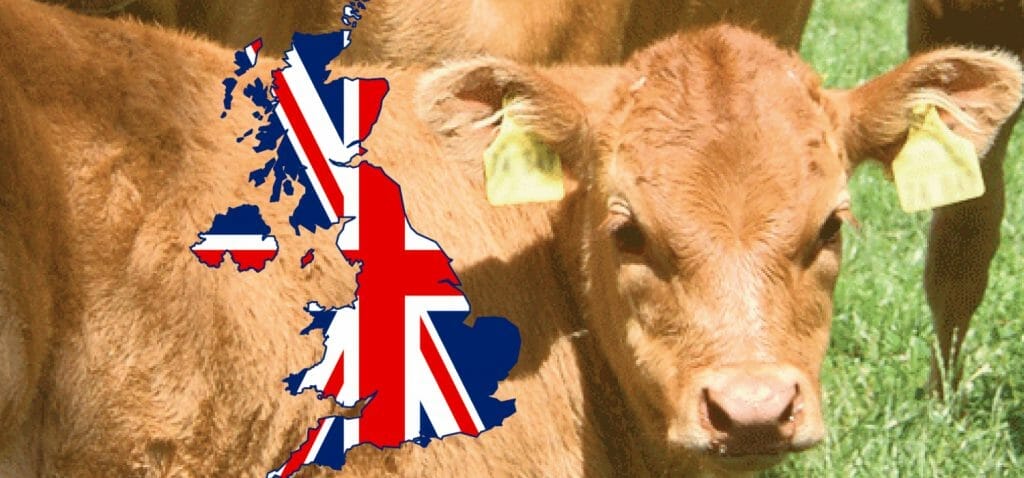 UK to start anti-CRV vaccination: meat calls for priority