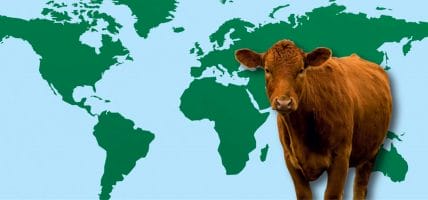 Il 2020 della carne: in Australia crolla, in Sud America vola