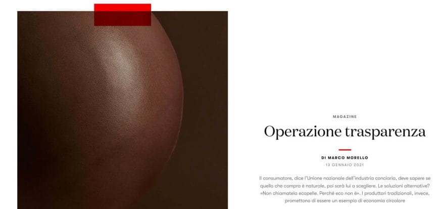 L'operazione trasparenza di Vogue: cos'è l'ecopelle (e cosa no)