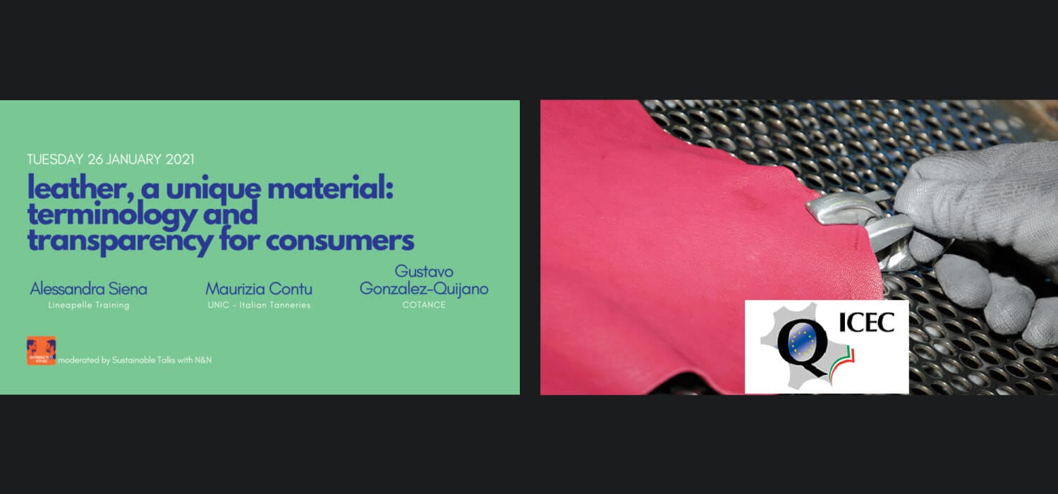 Webinar e pelle: oggi LP su terminologia, domani ICEC sui terzisti