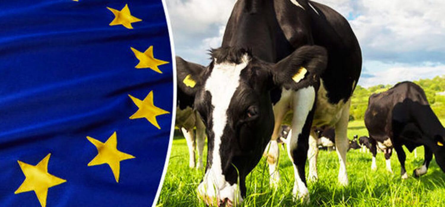 Fino al 2030 il consumo di carne crescerà, ma non in Europa