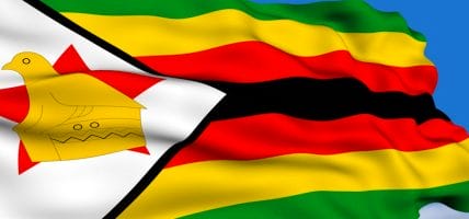 Il lancio della pelle non ha funzionato: lo Zimbabwe ci riprova