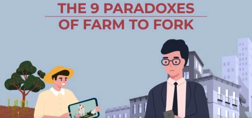 In a video, the 9 paradoxes dismantling preconceptions about meat