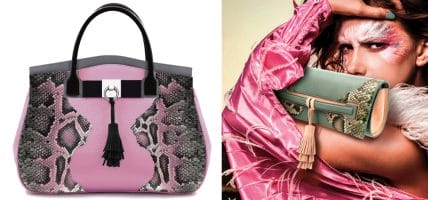 Perché il pitone? “È sostenibile. L'alternativa è il bracconaggio”