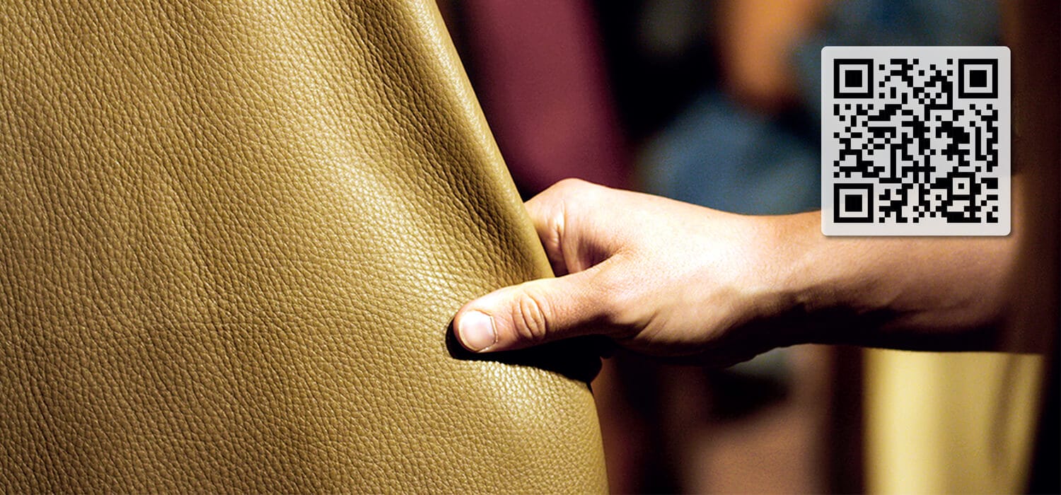 Quello che ci dice la scienza