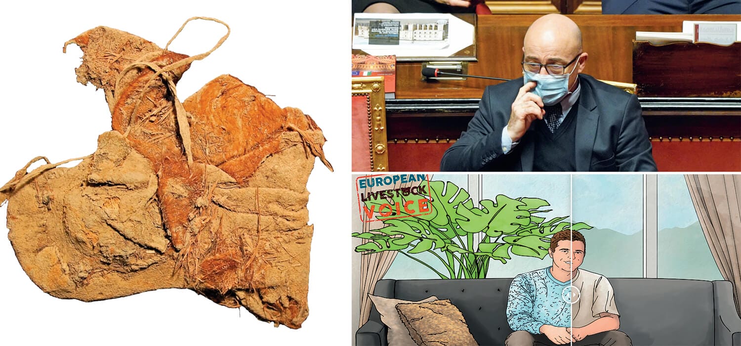 THE CLUB | La storia di un popolo svelata da un mocassino+Tentativi di omicidio