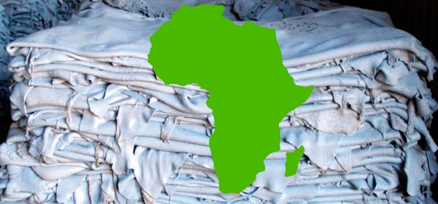 La pelle africana e il suo futuro, tra Nigeria e Zimbabwe