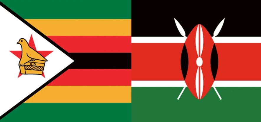 African leather: Zimbabwe looks forward, Kenya has concerns