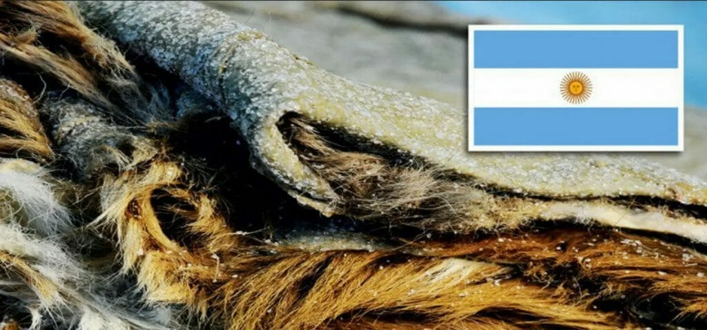 In Argentina they now ask for a suspension of the export of raw material