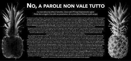 La parabola di Piñatex dimostra che no, a parole non vale tutto